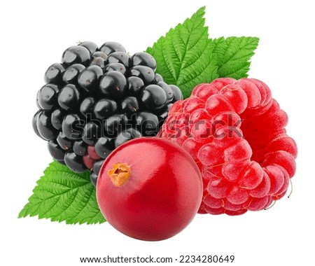wild Berries mix, raspberry, cranberry, blackberry, isolated on white background, clipping path, full depth of field