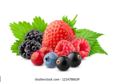 wild berries mix, strawberry, raspberry, currant, blueberry, cranberry, blackberry isolated on white background, clipping path, full depth of field