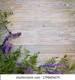 Wild blue flowers on an old gray wooden background. Selective focus. Place for text. Flat still life.