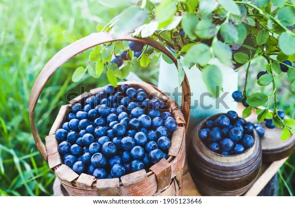 Wild blueberry berries in wooden basket on grass\
background. Leaves of bush with berries. Summer fresh harvest of\
delicious and healthy\
fruits.