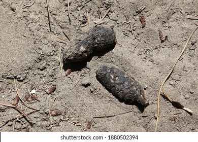 279 Pig Poop Images, Stock Photos & Vectors | Shutterstock