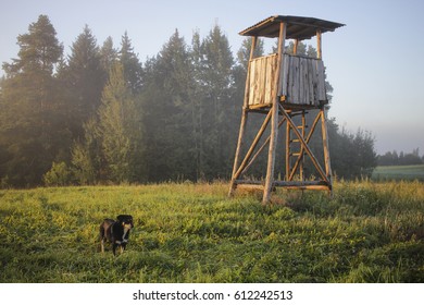 Wild Boar Hunting Tower