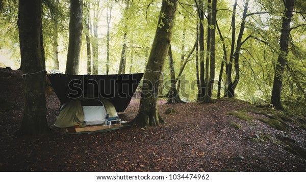 Wild Camping Forest Scotland 2017 Stock Photo Edit Now 1034474962