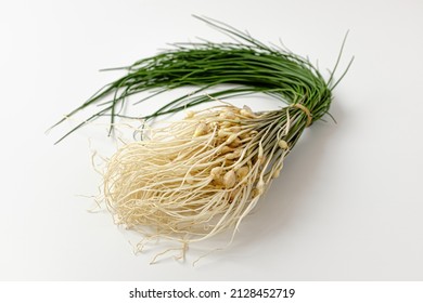 wild chive on a white background
