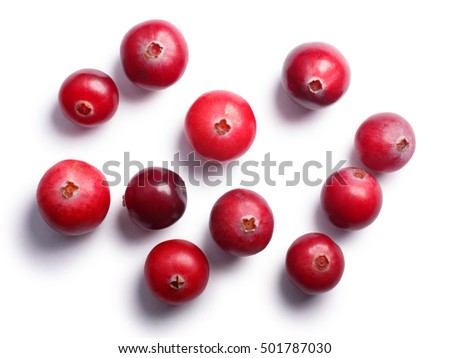 Wild cranberries (Vaccinium oxycoccus), top view. Clipping paths, shadow separated. Layers: https://goo.gl/ByzWR6