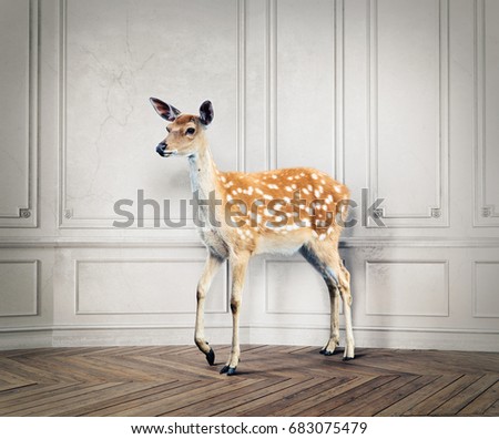 the wild deer in the luxury design room. photo combination concept
