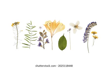 ドライフラワー 紫 の画像 写真素材 ベクター画像 Shutterstock