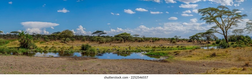Wild elephants in the Serengeti National Park in the heart of Africa