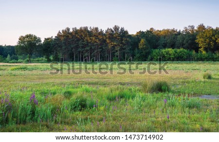 Similar – Image, Stock Photo summer in the field Child