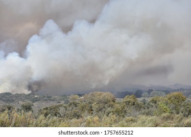 478 California fire plane Images, Stock Photos & Vectors | Shutterstock