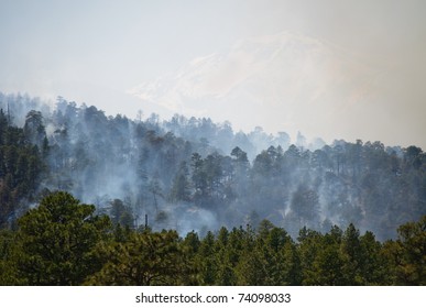 Wild Fire In The Coconino National Forest