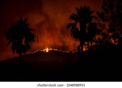 Wild Fire In Mountain