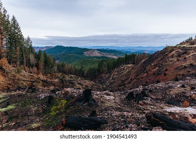 Wild Fire On Mt. Scott In Sutherlin Oregon