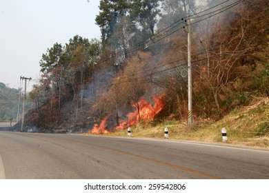 Wild Fire Road In Muang District Of Unknown Origin To Create Air Pollution And Our Vision Of Driving A Car Is Not Visible To The Eye, Nose, And Heartburn Clear On 10 March 2015