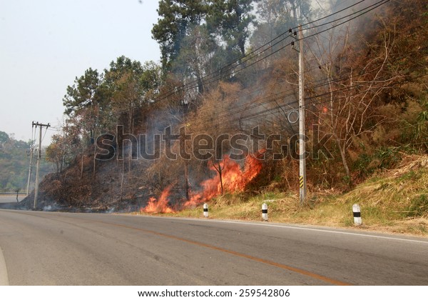 Wild fire\
road in Muang District of unknown origin to create air pollution\
and our vision of driving a car is not visible to the eye, nose,\
and heartburn clear on 10 March\
2015