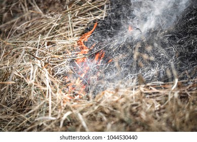 Wild Fire In Thailand