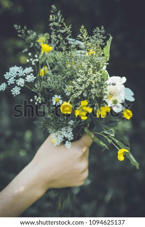 Similar – Female hands holding flower vase with wild flowers