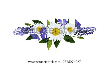 Wild flowers in blue color for line arrangement isolated on white 