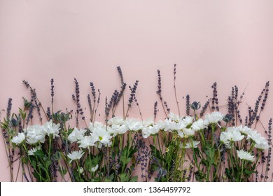 Wild Flowers Bouquet Flatlay On A Pink Background. Chrysanthemum, Camomile, Lavender. Landscape Mode