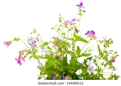 Wild Flowers Bunch Isolated On White