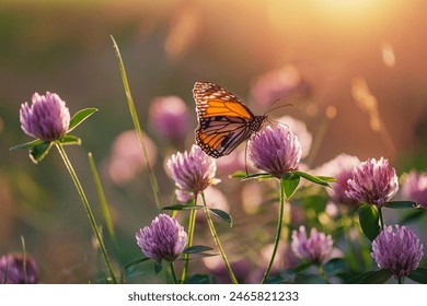 Wild flowers of clover and butterfly in a meadow in nature in the rays of sunlight in summer in the spring close-up of a macro. A picturesque colorful artistic image with a soft focus - Powered by Shutterstock