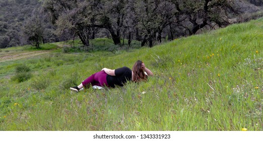 Wild Flowers In Ojai, Ventura County, California 