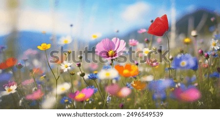 Similar – Image, Stock Photo Bright yellow fields of daffodils in bloom near the Dutch city of Alkmaar in the Netherlands