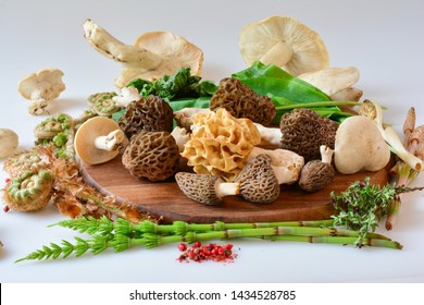 Wild Food On Chopping Board Over White, Morels, St.George's Mushrooms, Fern, Horse Tail Plant, Wild Thyme, Nettle, Bear's Garlic, All Excellent For Spring Blood Cleaning, Side View, Close Up