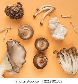 Wild Foraged Edible Mushrooms on Orange Background - Powered by Shutterstock