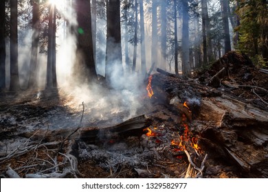 Wild Forest Fire In Yosemite National Park, California, United States Of America. Taken In Autumn Season Of 2018.