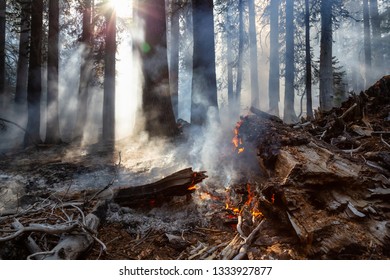 Wild Forest Fire In Yosemite National Park, California, United States Of America. Taken In Autumn Season Of 2018.