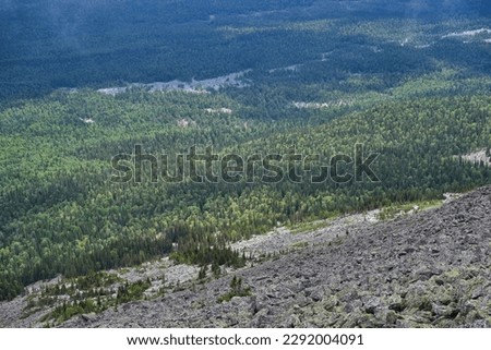 Wild forest near Big Iremel mountain, Bashkortostan