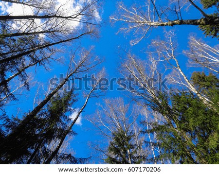 Similar – Image, Stock Photo Wind power at Roßkopf 8