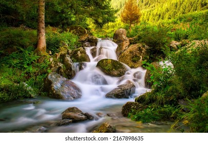 Wild forest waterfall creek in spring. Waterfall creek stones in wild forest - Powered by Shutterstock