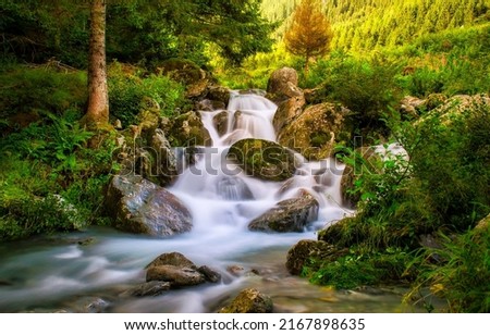 Wild forest waterfall creek in spring. Waterfall creek stones in wild forest