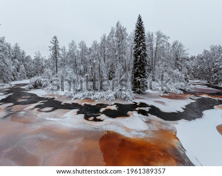 Wild frozen peat river in the winter forest, red river, ice, snow-covered deciduous grove, cloudy day. Lindulovskaya Grove in the Leningrad Region.