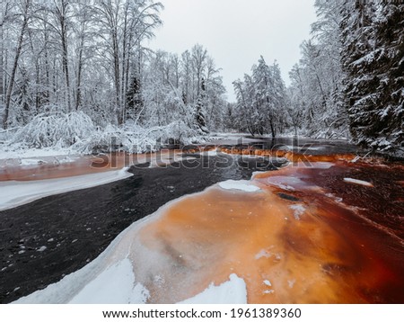 Wild frozen peat river in the winter forest, red river, ice, snow-covered deciduous grove, cloudy day. Lindulovskaya Grove in the Leningrad Region.