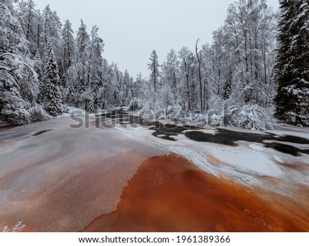 Wild frozen peat river in the winter forest, red river, ice, snow-covered deciduous grove, cloudy day. Lindulovskaya Grove in the Leningrad Region.