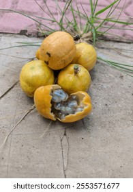 Wild fruit is a type of fruit that grows naturally in forests, grasslands or wild areas without human intervention. These fruits usually have a sharper or sour taste compared to cultivated fruits. Som