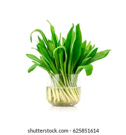 Wild Garlic Isolated On White