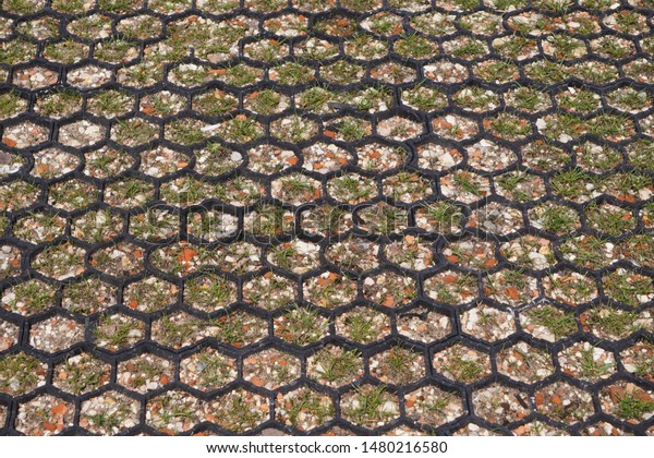 Wild\
grass sprouts between the plastic tiles of modern eco-City Parking\
lot on sidewalk. plastic construction of complex geometric shape\
with intervals for grass. copy space, zero\
weight.