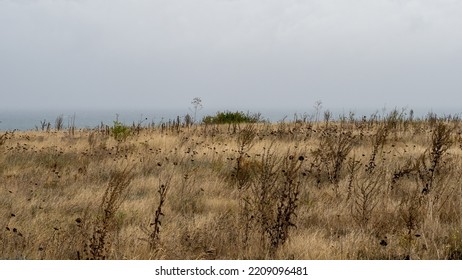 Wild Grassland On A Rocky Outcrop Over The Sea