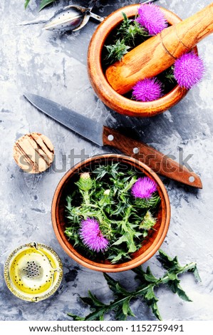 Similar – Image, Stock Photo prickly Thorny Thistle