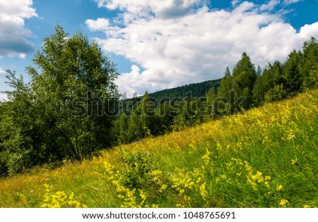 Similar – Image, Stock Photo Herbs idyll at the Inn