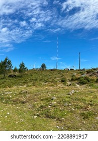 Wild Horse Eating Grass In A Plain Full Of Vegetation And Trees Under A Blue. Free Horse In The Mountain, Viana Do Castelo Municipality, Portugal.