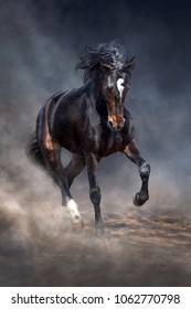 Wild Horse Run In Dark Desert Dust