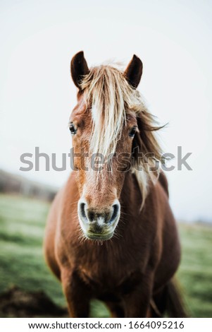 Similar – Foto Bild Misstrauisch Natur