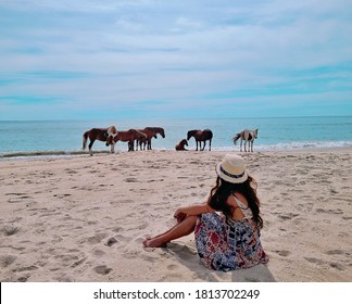 Wild Horses Of Assateague Island National Seashore