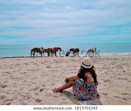 Wild horses of Assateague Island National Seashore