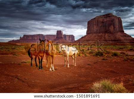 Wild horses in the desert of Monument Valley in Arizona, Utah, USA